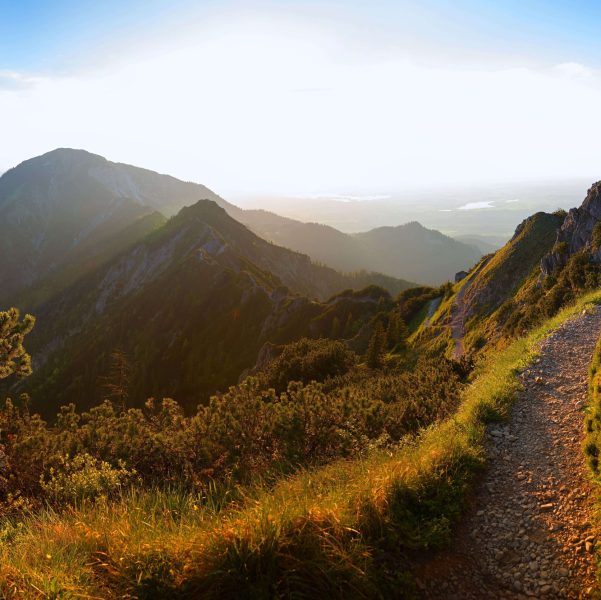 Hiking Trail Services Services